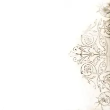 CD AND NOW THAT I'M IN YOUR SHADOW