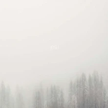 Vinyl JESU - TERMINUS