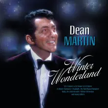 Vinyl Winter Wonderland
