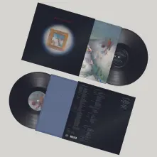 Vinyl MY NEW BAND BELIEVE