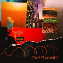 Vinyl TODO SE DESVANECE