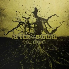 Vinyl AFTER THE BURIAL - RAREFORM (10 YEAR ANNIVERSARY)