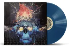Vinyl THE CONNECTION