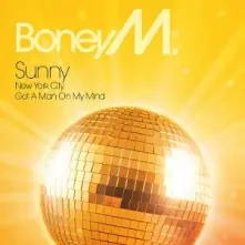 Vinyl Sunny