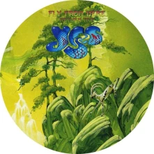 Vinyl FLY FROM HERE - RETURN TRIP