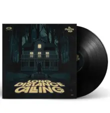 Vinyl The Phantom Void