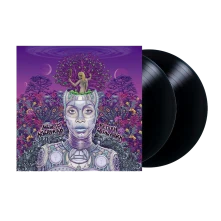 Vinyl New Amerykah Part Two (Return of the Ankh)
