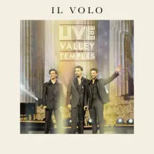 Vinyl Live At the Valley of the Temples