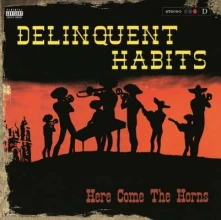 Vinyl Delinquent Habits - Here Comes the Horns