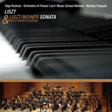 CD SONATA FOR PIANO IN B MINOR