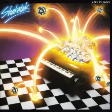 Vinyl LIVE IN JAPAN