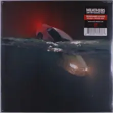 Vinyl ARE WE HAVING FUN?