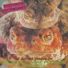 Vinyl THE MATING SOUNDS OF SOUTH AMERICAN FROGS