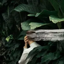 CD EVERYTHING FEELS BETTER NOW