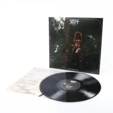 Vinyl Into the Realm