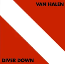 Vinyl Diver Down