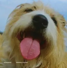 Vinyl SONGDOG - MIRABILIA MUNDI