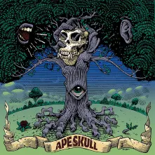 Vinyl APE SKULL