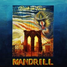 Vinyl Mandrill - Back In Town