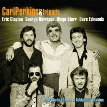 CD BLUE SUEDE SHOES