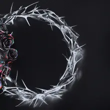 CD DUAL (DUSK)