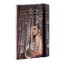 Diár Rok podľa Dary 2020