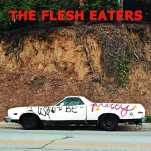Vinyl FLESH EATERS - I USED TO BE PRETTY