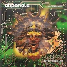 Vinyl Shpongle - Nothing Lasts... But Nothing is Lost