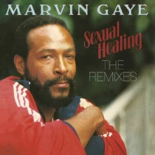 Vinyl Sexual Healing - The Remixes