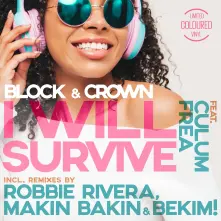 Vinyl I WILL SURVIVE