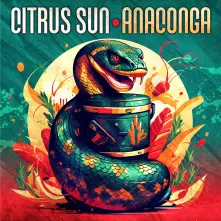 Vinyl ANACONGA