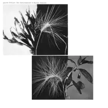 Vinyl NEW ENVIRONMENTS & RHYTHM STUDIES