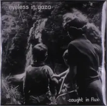 Vinyl Caught In a Flux