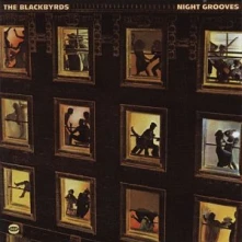 Vinyl NIGHTGROOVES