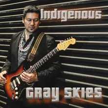 CD GRAY SKIES