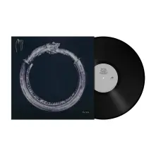 Vinyl THE SPIN
