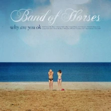 Vinyl BAND OF HORSES - WHY ARE YOU OK