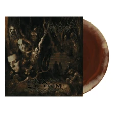 Vinyl Ix Equilibrium