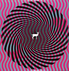 Vinyl CRYPTOGRAMS / FLUORESCENT GREY