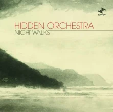 CD HIDDEN ORCHESTRA - NIGHT WALKS