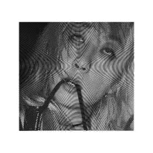 Vinyl EVICSHEN - HAIR BIRTH