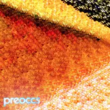 Vinyl 7-MUR/PONR