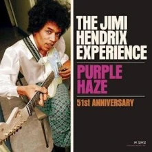 Vinyl 7-PURPLE HAZE