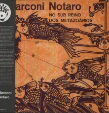 Vinyl NO SUB REINO DOS METAZOARIOS