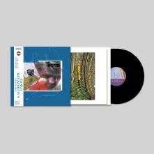 Vinyl KALEIDOSCOPIC VISIONS