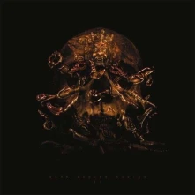 Vinyl DARK BUDDHA RISING - II