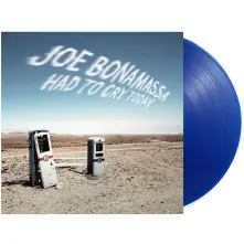 Vinyl HAD TO CRY TODAY