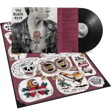 Vinyl NO RAIN, NO FLOWERS