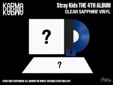 Vinyl KARMA