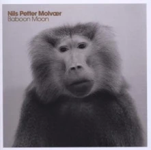 CD MOLVAER, NILS PETTER - Baboon Moon